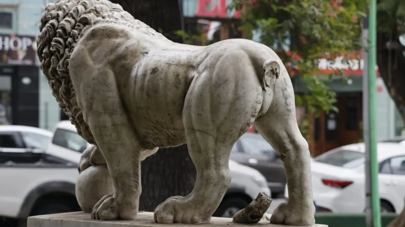 León de mármol en Parque Italia de Valparaíso pierde su cola León de mármol en Parque Italia de Valparaíso pierde su cola