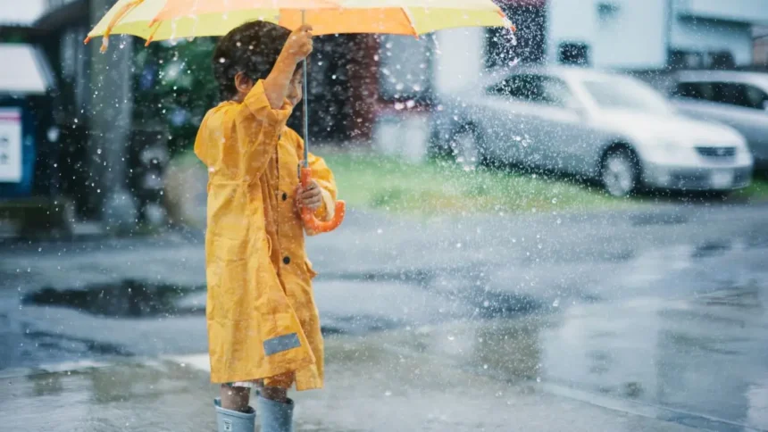 Lluvias y vientos en Magallanes: pronóstico del tiempo para hoy