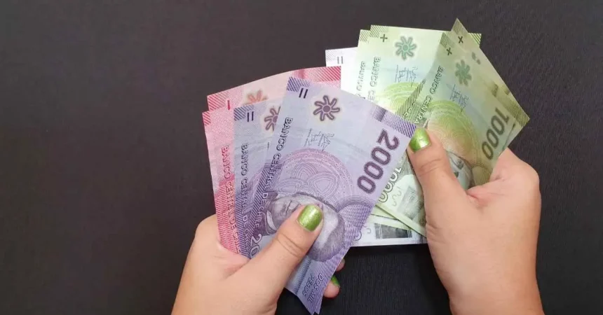 ¿Postulaste al Subsidio Eléctrico? Este es el sitio para revisar los resultados