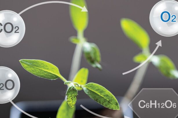 Hidrógeno verde y geopolítica marina: una nueva era mundial