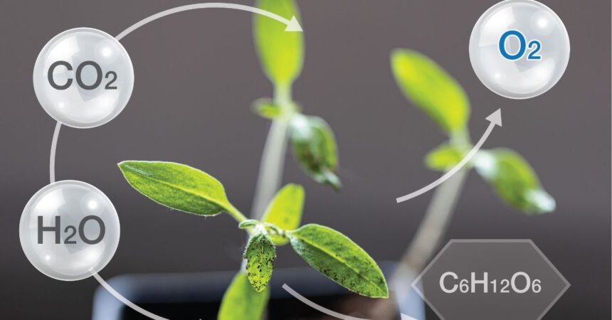 Hidrógeno verde y geopolítica marina: una nueva era mundial