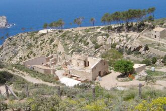 El GOB muestra escepticismo ante moratoria en parques fotovoltaicos