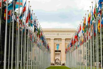 Respuesta al tráfico de drogas: Respeto al derecho internacional