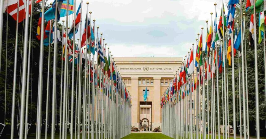 Respuesta al tráfico de drogas: Respeto al derecho internacional