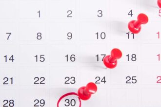 Descubre los seis feriados nacionales restantes en Chile para 2025 y el posible séptimo día libre por elecciones presidenciales