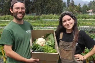 Tierra Joven abre postulaciones para asistir a jóvenes agricultores en la compra de su primer terreno productivo: Descubre cómo beneficiarte
