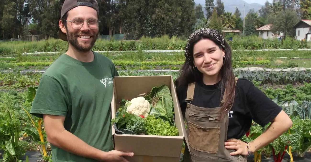 Tierra Joven abre postulaciones para asistir a jóvenes agricultores en la compra de su primer terreno productivo: Descubre cómo beneficiarte Tierra Joven abre postulaciones para asistir a jóvenes agricultores en la compra de su primer terreno productivo: Descubre cómo beneficiarte