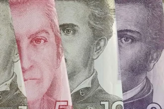 Descubre los bonos y subsidios estatales disponibles para cobrar después de las Fiestas Patrias