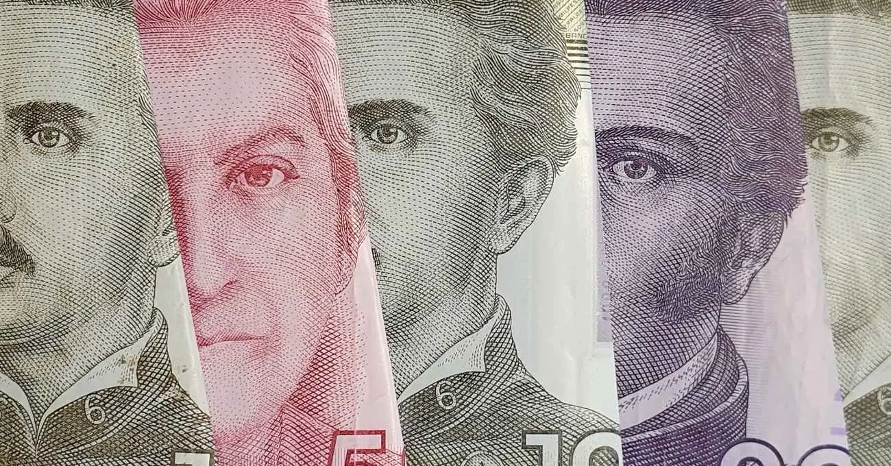 Descubre los bonos y subsidios estatales disponibles para cobrar después de las Fiestas Patrias Descubre los bonos y subsidios estatales disponibles para cobrar después de las Fiestas Patrias