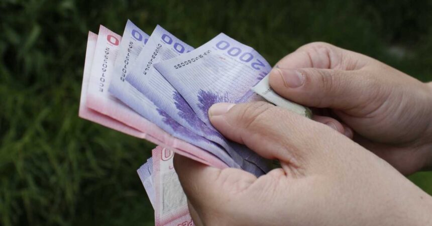 Descubre si calificas para el Bono de Protección con pagos mensuales de hasta $22.674 durante 24 meses: consulta con tu RUT