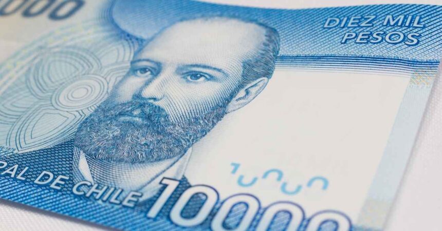 Guía para acceder al Bono de Protección o Bono Dueña de Casa: Requisitos, montos y prioridades