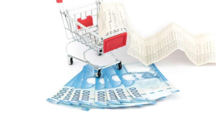 Desmitificando el Bono Dueña de Casa: ¿Realmente existe o es solo un término coloquial?