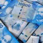 Descubre si eres beneficiario del Bono Protección para dueñas de casa en Chile: consulta con tu RUT aquí