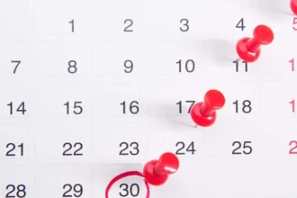 Descubre los 6 feriados restantes en Chile para 2025: incluyendo detalles y posibles fechas adicionales