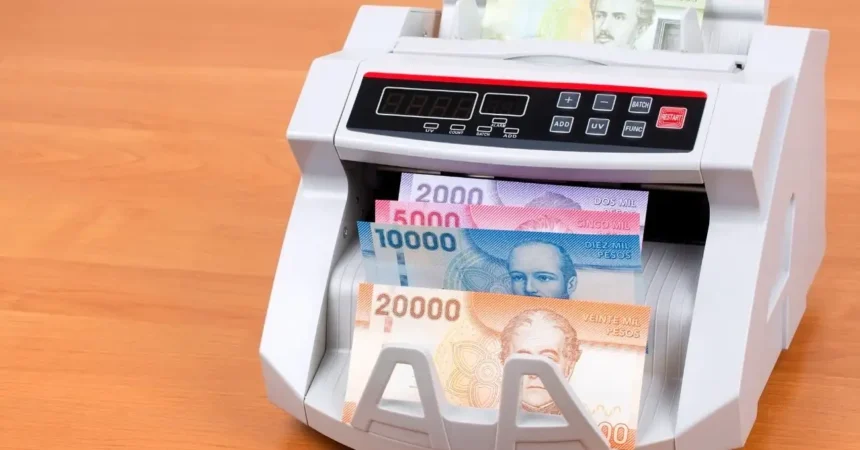 Vive y trabaja en comunidades rurales de Chile con el programa Servicio País: ofertas de hasta $700.000 mensuales