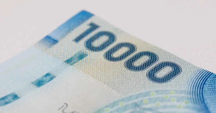 Multifondos de pensiones en Chile cierran con ganancias en septiembre 2025, informa Ciedess