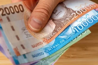 Guía completa para obtener el Bono de Protección o Bono Dueña de Casa: requisitos, montos y cómo verificar tu elegibilidad