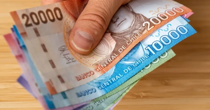 Guía completa para obtener el Bono de Protección o Bono Dueña de Casa: requisitos, montos y cómo verificar tu elegibilidad