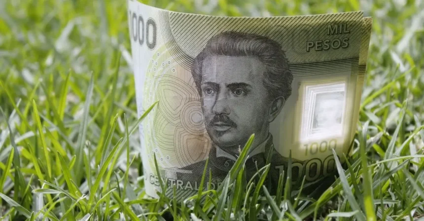 Conoce los beneficios que el Estado ofrece a las personas desempleadas en octubre