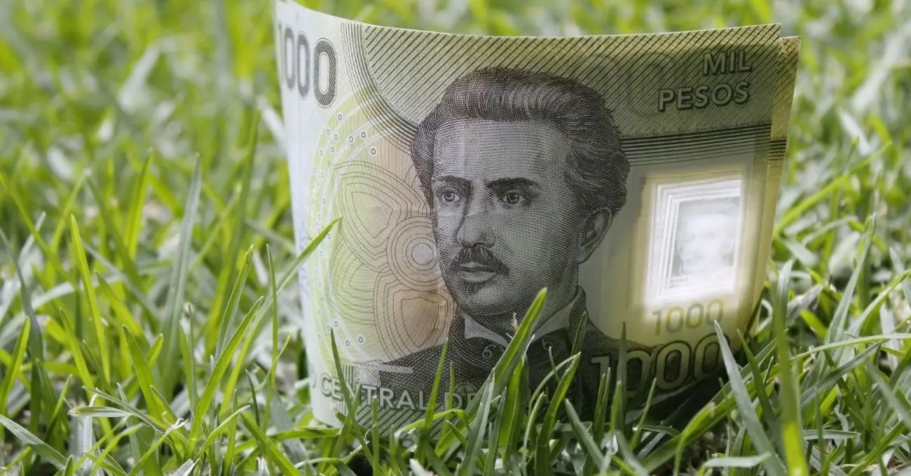 Conoce los beneficios que el Estado ofrece a las personas desempleadas en octubre Conoce los beneficios que el Estado ofrece a las personas desempleadas en octubre
