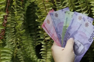 Descubre los beneficios y pensiones que los adultos mayores podrán cobrar en octubre