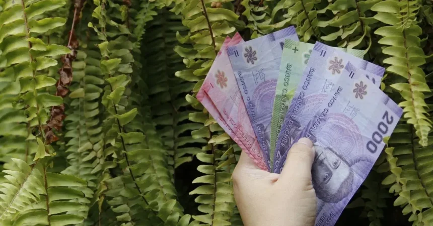 Descubre los beneficios y pensiones que los adultos mayores podrán cobrar en octubre