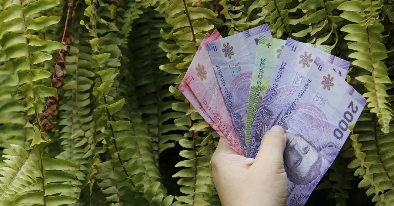 Descubre los beneficios y pensiones que los adultos mayores podrán cobrar en octubre Descubre los beneficios y pensiones que los adultos mayores podrán cobrar en octubre