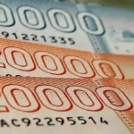 Descubre los beneficios financieros disponibles para los adultos mayores: Complementa tu jubilación con estos aportes estatales