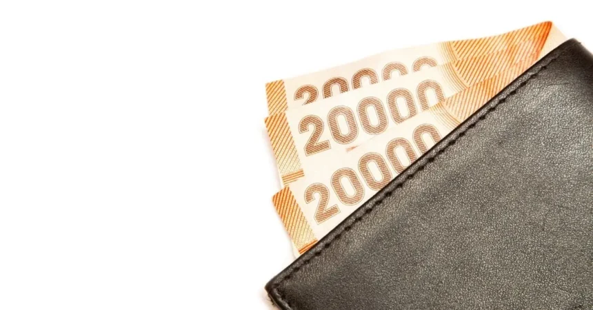 Descubre si eres elegible para el Bono al Trabajo de la Mujer y cómo solicitar hasta $678,000 en beneficios estatales