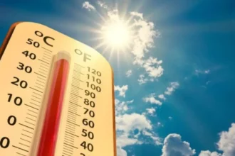 Fin de semana de calor en Chile: Temperaturas podrían alcanzar los 35 grados en regiones centrales