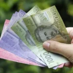 400 mil chilenos recibirán el nuevo Subsidio Familiar Automático sin trámites previos