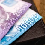 Acceso a beneficios económicos y médicos para personas desempleadas en Chile: Guía completa