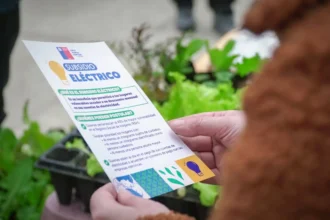 Postulación al Subsidio Eléctrico 2026: requisitos y cómo postular online.