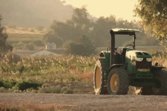 Agricultor en Maullín enfrenta prisión preventiva por estafa de $166 millones con boletas falsas