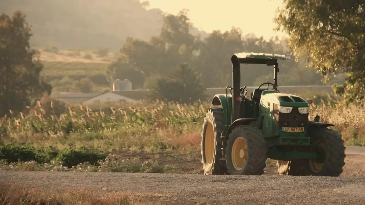 Agricultor en Maullín enfrenta prisión preventiva por estafa de $166 millones con boletas falsas