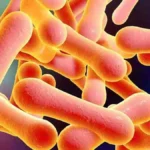 Alerta por difteria en América: Cómo se enfrenta Chile al riesgo