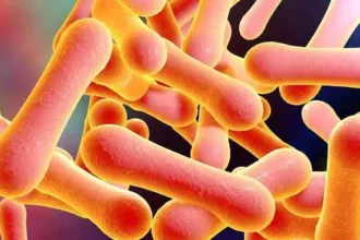 Alerta por difteria en América: Cómo se enfrenta Chile al riesgo