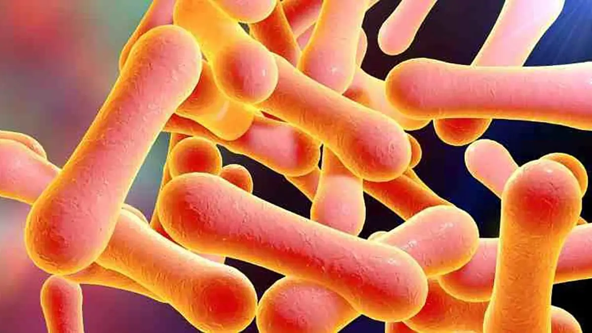 Alerta por difteria en América: Cómo se enfrenta Chile al riesgo Alerta por difteria en América: Cómo se enfrenta Chile al riesgo