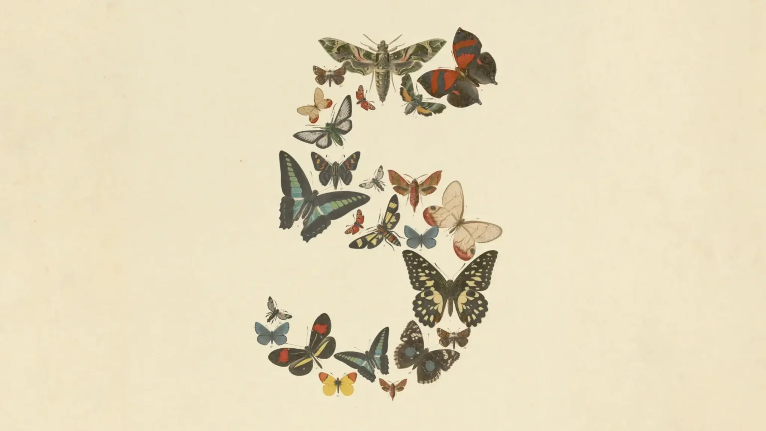 Anthropic lanza Claude Fable 5, la nueva potencia en inteligencia artificial Anthropic lanza Claude Fable 5, la nueva potencia en inteligencia artificial