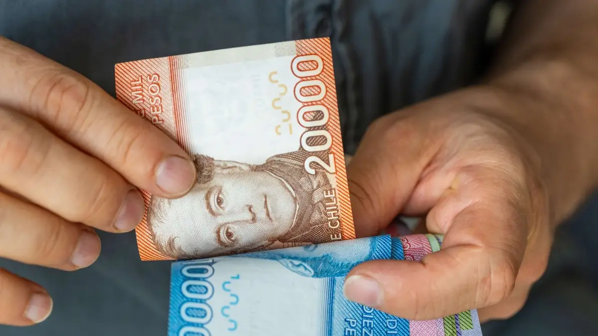 Beneficios disponibles para cesantes en junio de 2026: Todo lo que necesitas saber Beneficios disponibles para cesantes en junio de 2026: Todo lo que necesitas saber