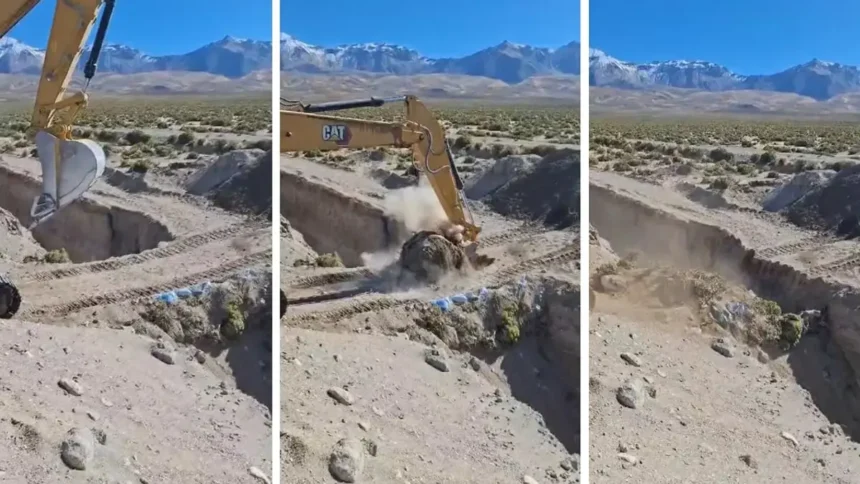 Gobierno de Chile demuele puente clandestino en la frontera con Bolivia