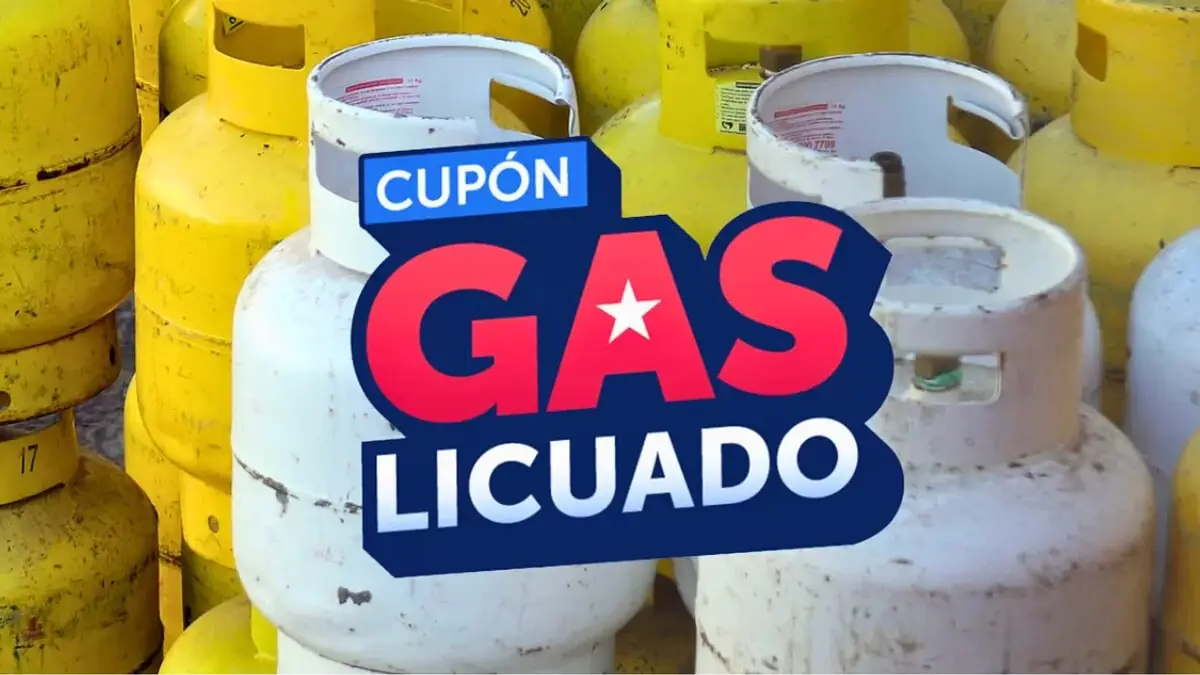 Habilitación del nuevo cupón de gas licuado: beneficios para miles de familias Habilitación del nuevo cupón de gas licuado: beneficios para miles de familias