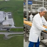 Ideal ampliará planta en Chillán Viejo con una inversión de US$ 25 millones y un 40% más de empleo
