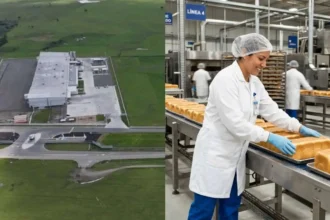 Ideal ampliará planta en Chillán Viejo con una inversión de US$ 25 millones y un 40% más de empleo