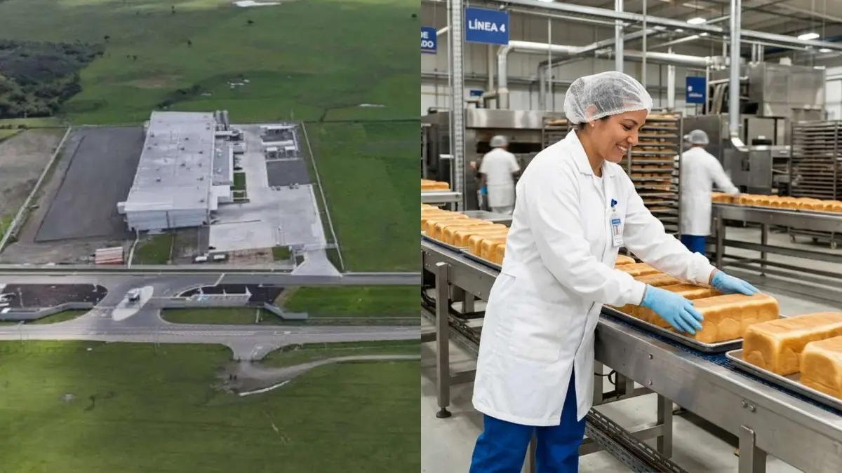 Ideal ampliará planta en Chillán Viejo con una inversión de US$ 25 millones y un 40% más de empleo Ideal ampliará planta en Chillán Viejo con una inversión de US$ 25 millones y un 40% más de empleo