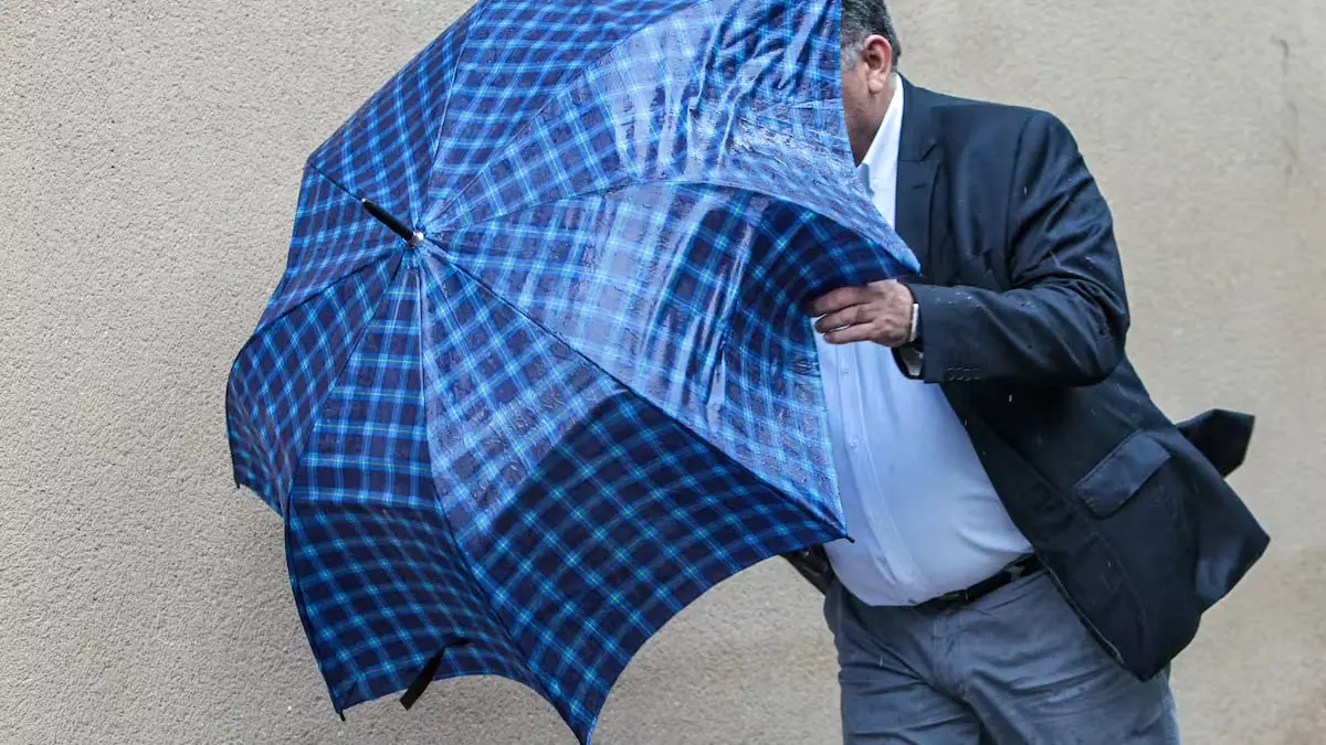 Meteorología alerta por rachas de viento de hasta 80 km/h en 9 regiones de Chile