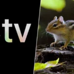 Micromundos: La serie que revela la vida secreta de las criaturas diminutas