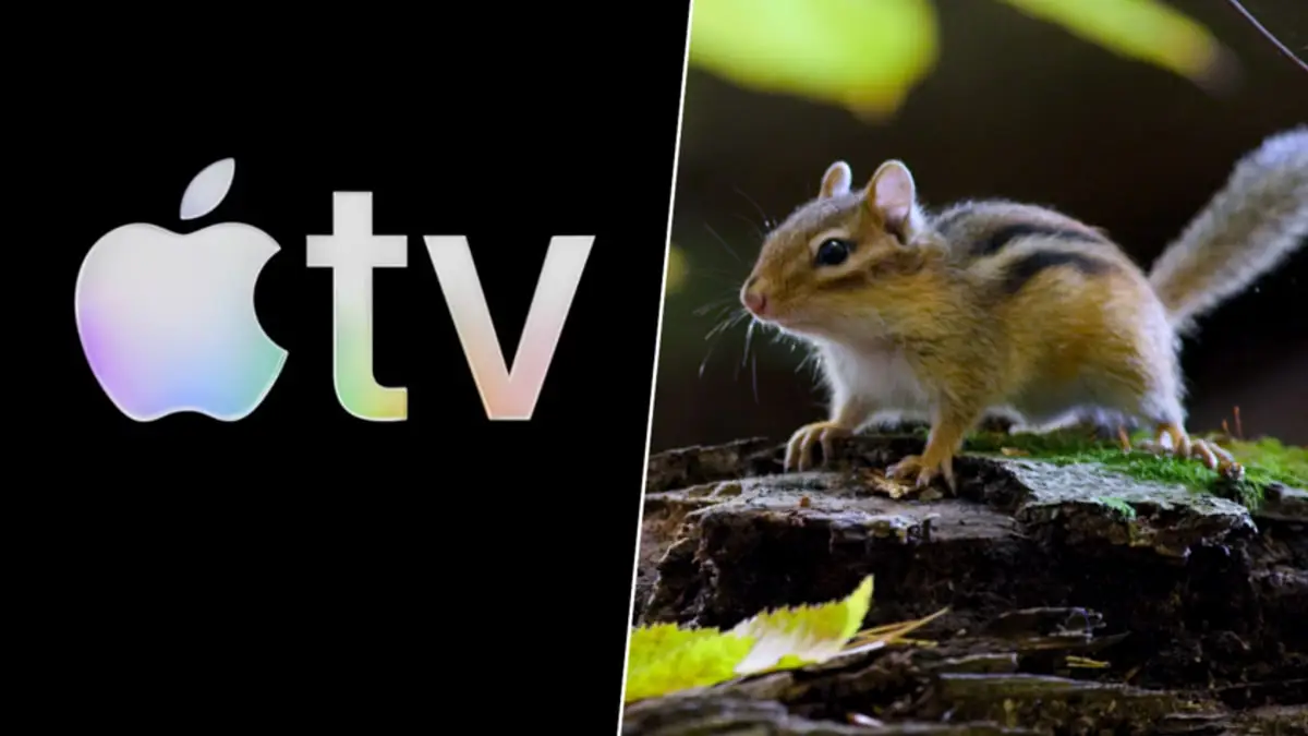 Micromundos: La serie que revela la vida secreta de las criaturas diminutas Micromundos: La serie que revela la vida secreta de las criaturas diminutas