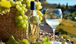 Monte Grande: Un Viaje entre Gastronomía y la Memoria de Gabriela Mistral