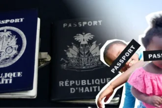 ONG de haitiano detenido por tráfico de migrantes recibió $50 millones del Estado